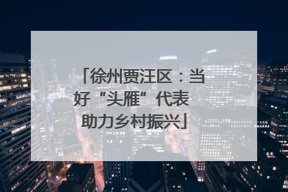 徐州贾汪区：当好“头雁”代表 助力乡村振兴