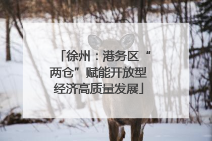 徐州：港务区“两仓”赋能开放型经济高质量发展