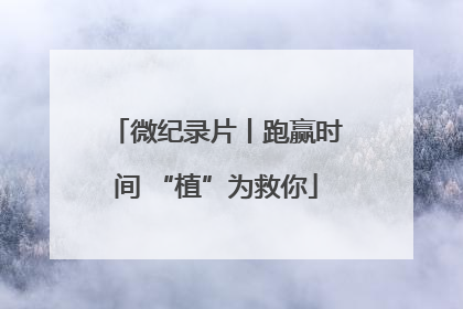 微纪录片丨跑赢时间 “植”为救你