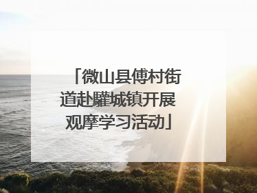 微山县傅村街道赴驩城镇开展观摩学习活动