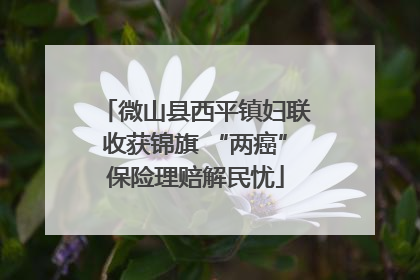 微山县西平镇妇联收获锦旗 “两癌”保险理赔解民忧
