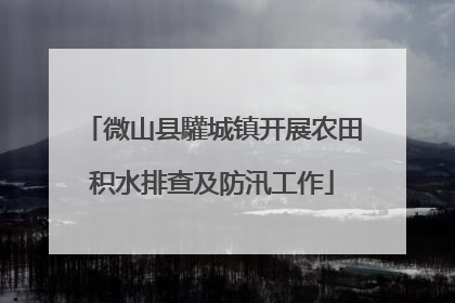 微山县驩城镇开展农田积水排查及防汛工作