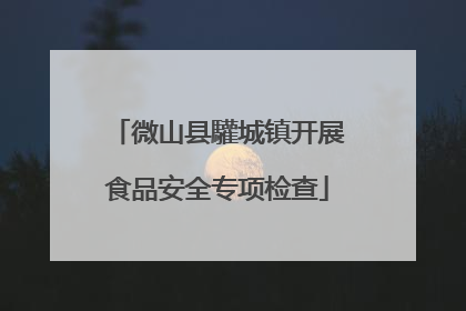 微山县驩城镇开展食品安全专项检查