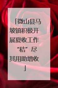 微山县马坡镇积极开展夏收工作 “秸”尽其用助增收