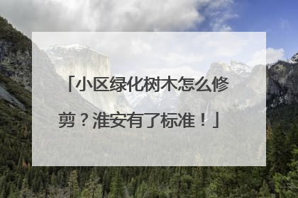 小区绿化树木怎么修剪？淮安有了标准！