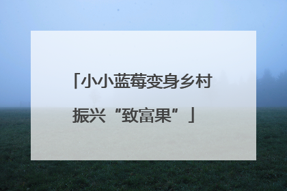 小小蓝莓变身乡村振兴“致富果”
