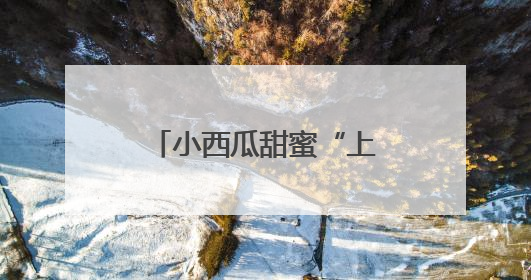 小西瓜甜蜜“上市”，顺义区北务镇进入采摘季