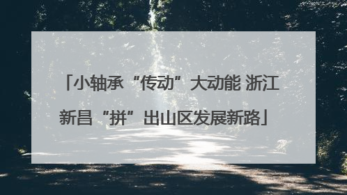 小轴承“传动”大动能 浙江新昌“拼”出山区发展新路