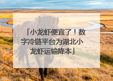 小龙虾便宜了！数字冷链平台为湖北小龙虾运输降本