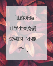 山东乐陵：让学生变身爱劳动的“小能手”