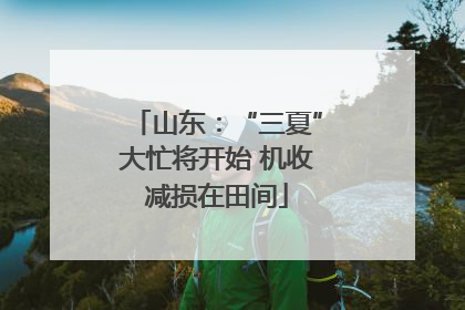 山东：“三夏”大忙将开始 机收减损在田间