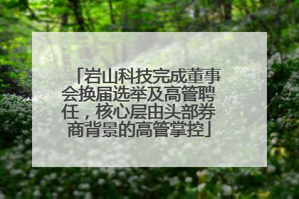 岩山科技完成董事会换届选举及高管聘任，核心层由头部券商背景的高管掌控