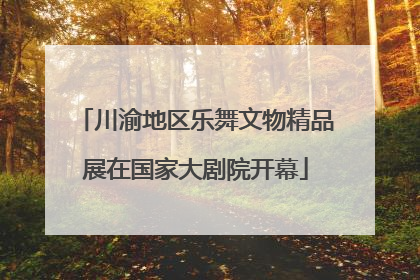 川渝地区乐舞文物精品展在国家大剧院开幕