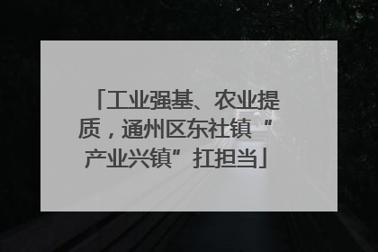 工业强基、农业提质，通州区东社镇“产业兴镇”扛担当