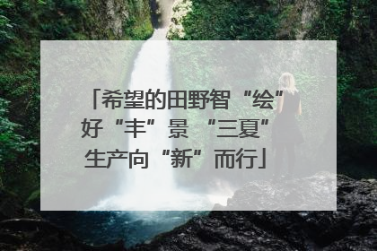 希望的田野智“绘”好“丰”景 “三夏”生产向“新”而行