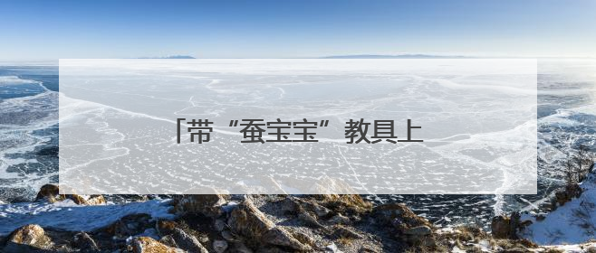 带“蚕宝宝”教具上地铁被拦？家长喊话成都地铁“网开一面”
