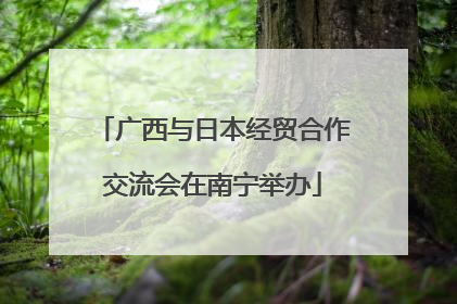 广西与日本经贸合作交流会在南宁举办