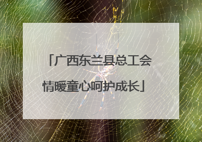 广西东兰县总工会情暖童心呵护成长