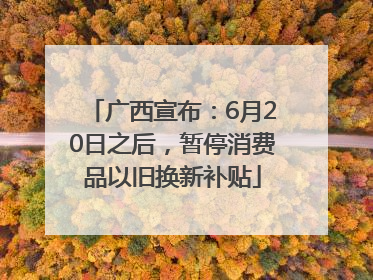 广西宣布：6月20日之后，暂停消费品以旧换新补贴