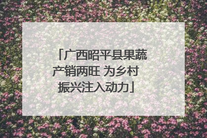 广西昭平县果蔬产销两旺 为乡村振兴注入动力
