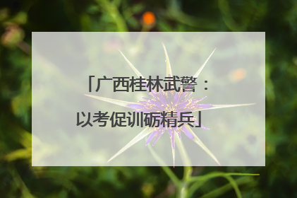 广西桂林武警：以考促训砺精兵