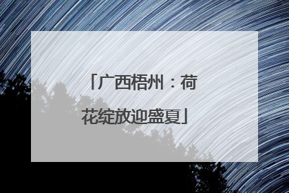 广西梧州：荷花绽放迎盛夏