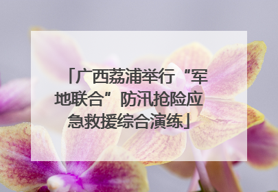 广西荔浦举行“军地联合”防汛抢险应急救援综合演练