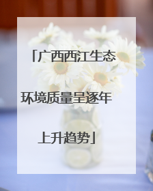 广西西江生态环境质量呈逐年上升趋势