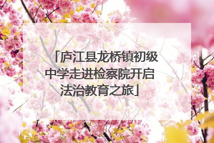 庐江县龙桥镇初级中学走进检察院开启法治教育之旅