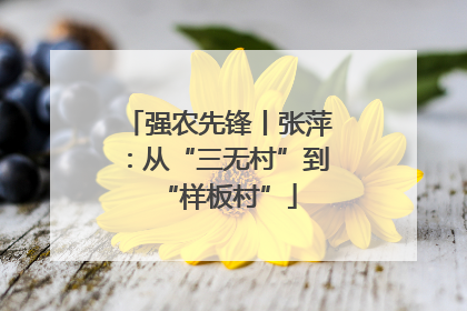 强农先锋丨张萍：从“三无村”到“样板村”