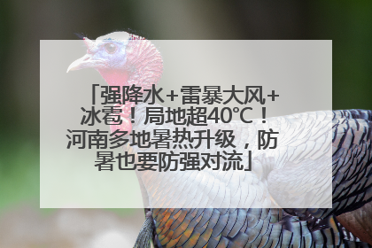 强降水+雷暴大风+冰雹！局地超40℃！河南多地暑热升级，防暑也要防强对流
