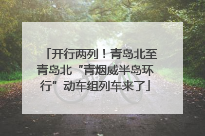 开行两列！青岛北至青岛北“青烟威半岛环行”动车组列车来了