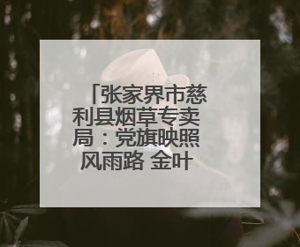 张家界市慈利县烟草专卖局：党旗映照风雨路 金叶情深暖山乡