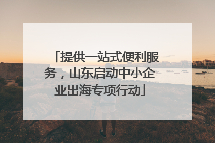 提供一站式便利服务，山东启动中小企业出海专项行动