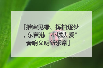 推窗见绿、挥拍逐梦，东营港“小城大爱”奏响文明新乐章