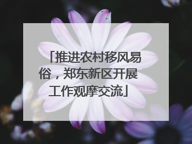 推进农村移风易俗，郑东新区开展工作观摩交流