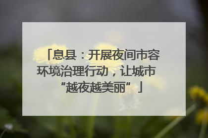 息县：开展夜间市容环境治理行动，让城市 “越夜越美丽”