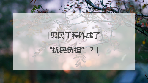 惠民工程咋成了“扰民负担”？