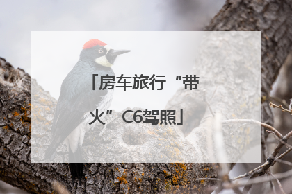房车旅行“带火”C6驾照