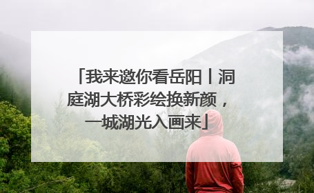 我来邀你看岳阳丨洞庭湖大桥彩绘换新颜，一城湖光入画来