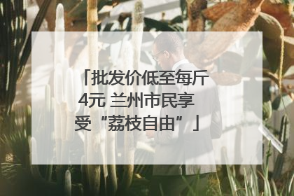批发价低至每斤4元 兰州市民享受“荔枝自由”