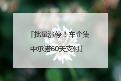 批量涨停！车企集中承诺60天支付