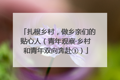 扎根乡村，做乡亲们的贴心人（青年观察·乡村和青年双向奔赴③）