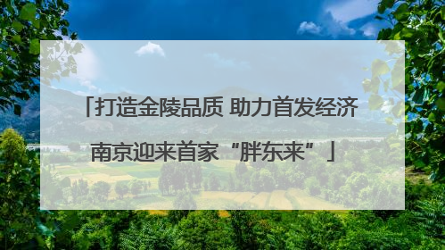 打造金陵品质 助力首发经济 南京迎来首家“胖东来”