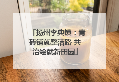 扬州李典镇：青砖铺就整洁路 共治绘就新田园