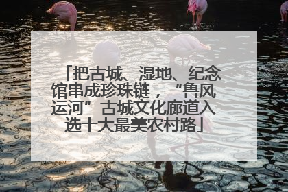 把古城、湿地、纪念馆串成珍珠链，“鲁风运河”古城文化廊道入选十大最美农村路