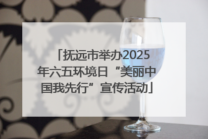 抚远市举办2025年六五环境日“美丽中国我先行”宣传活动