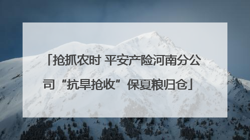 抢抓农时 平安产险河南分公司“抗旱抢收”保夏粮归仓