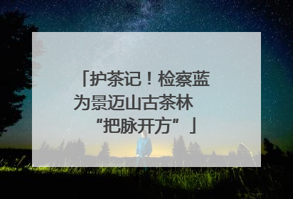 护茶记！检察蓝为景迈山古茶林 “把脉开方”