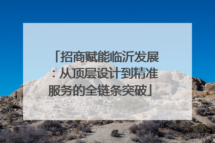 招商赋能临沂发展：从顶层设计到精准服务的全链条突破